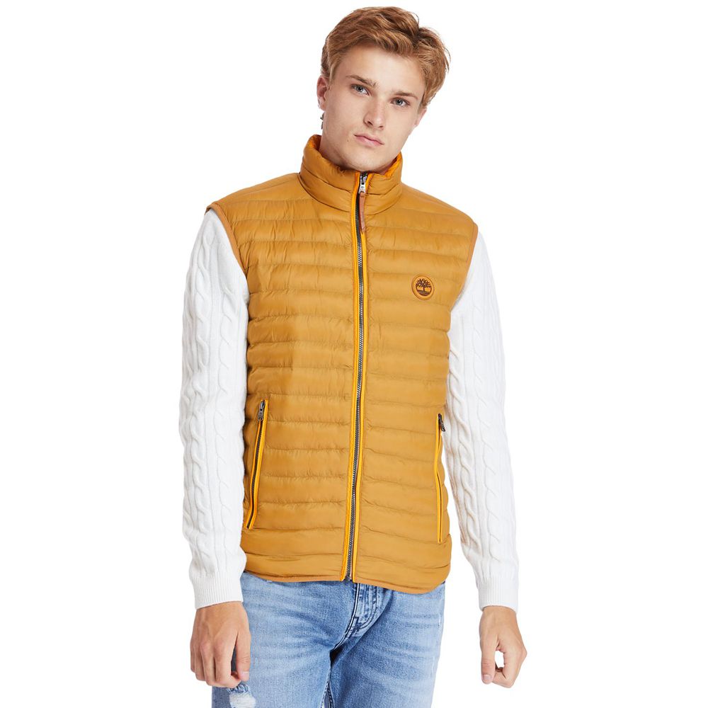 Chaleco Timberland Hombre Axis Peak Thermal Marrones - Chile VIN-016534